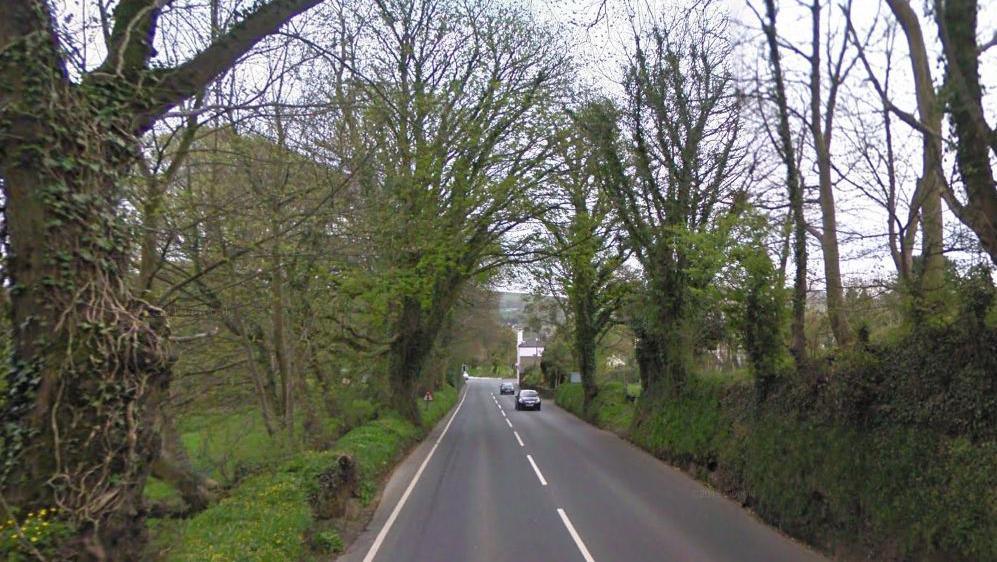 A country road with hedgerows and trees of either side of it 