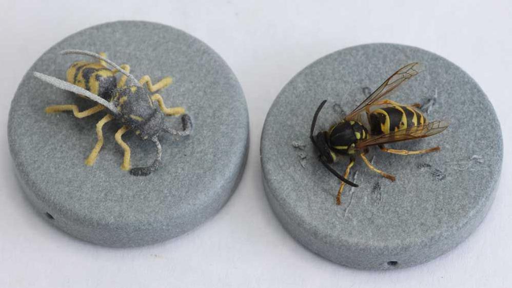 A wasp (right) next to its 3D printed counterpart (left)