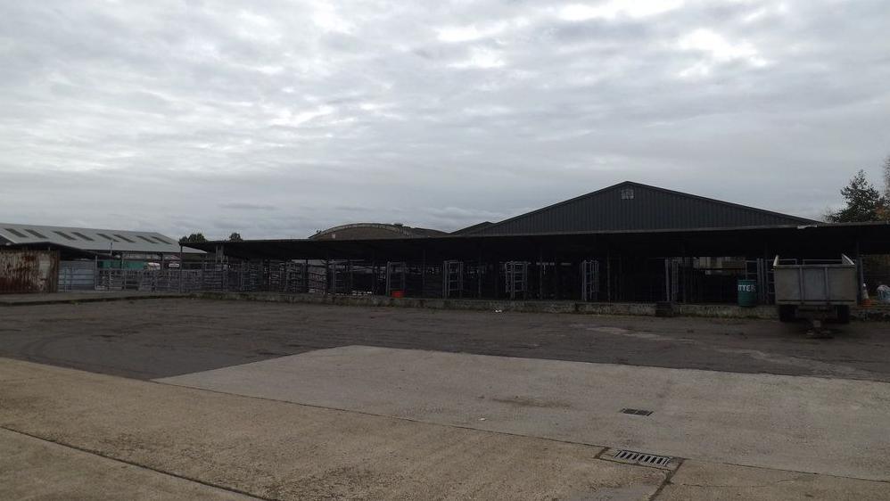 Norwich Livestock Market. It has grey livestock pens, iron-clad buildings and a large concrete forecourt, which is in the foreground. The market is empty.