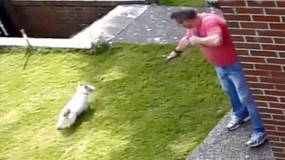 CCTV of the incident