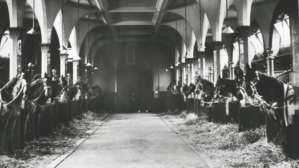 An old black and white photo of a large stable with horses on either side of the image. There is straw in the stalls. 