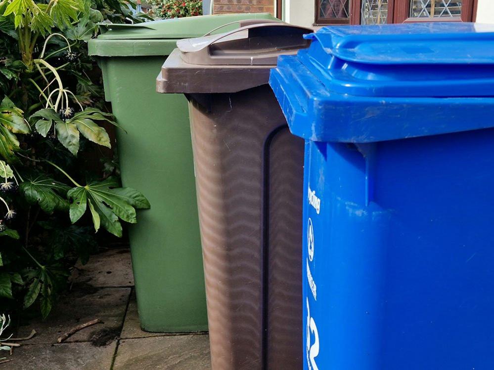 Coloured wheelie bins