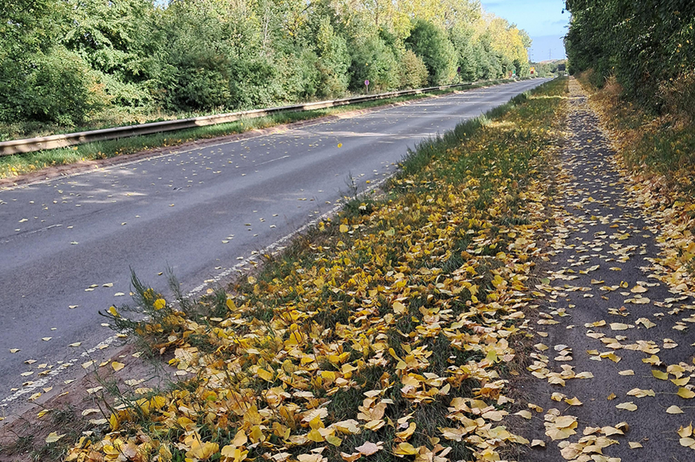 Leaves on the grass on a verge in Coleshill. To the left is a road and a path is on the right, also covered with a sprinkling of leaves