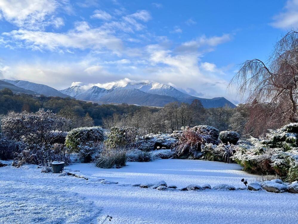 Snowy grass and shrubbery with snowy mountains in the background 