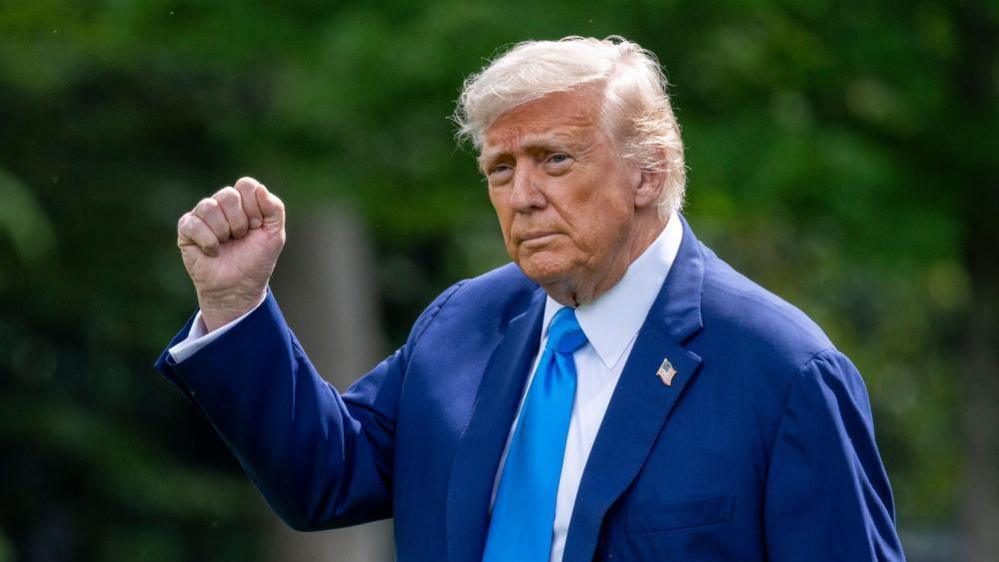 Image shows US President Donald Trump walking to board Marine One on the South Lawn of the White House in Washington DC, US, on 6 June 2025