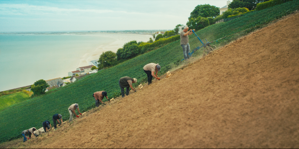 Eight workers in a field pick potatoes from the ground on a steep hill with the sea behind.