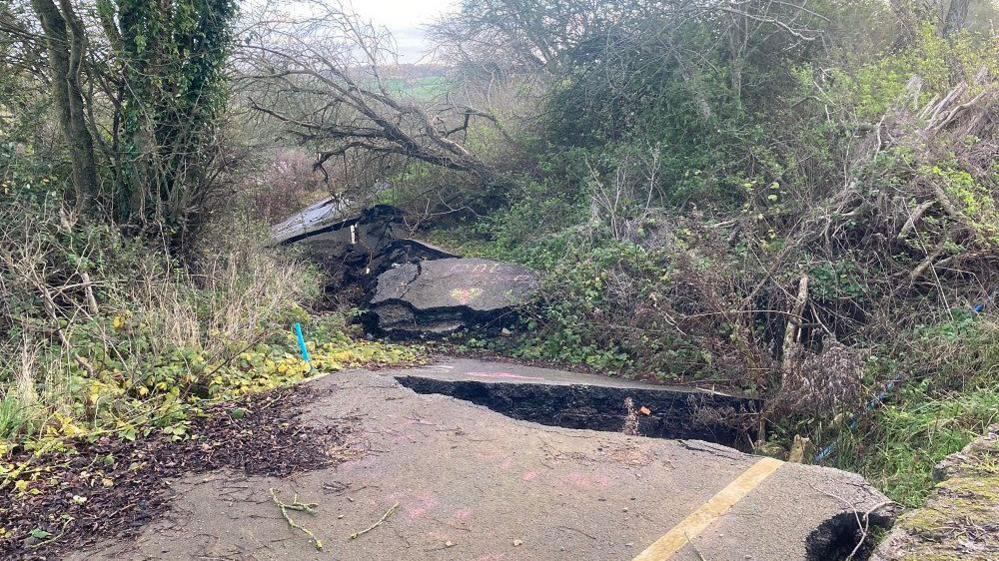 A severely cracked and damaged road covered in fallen trees and foliage