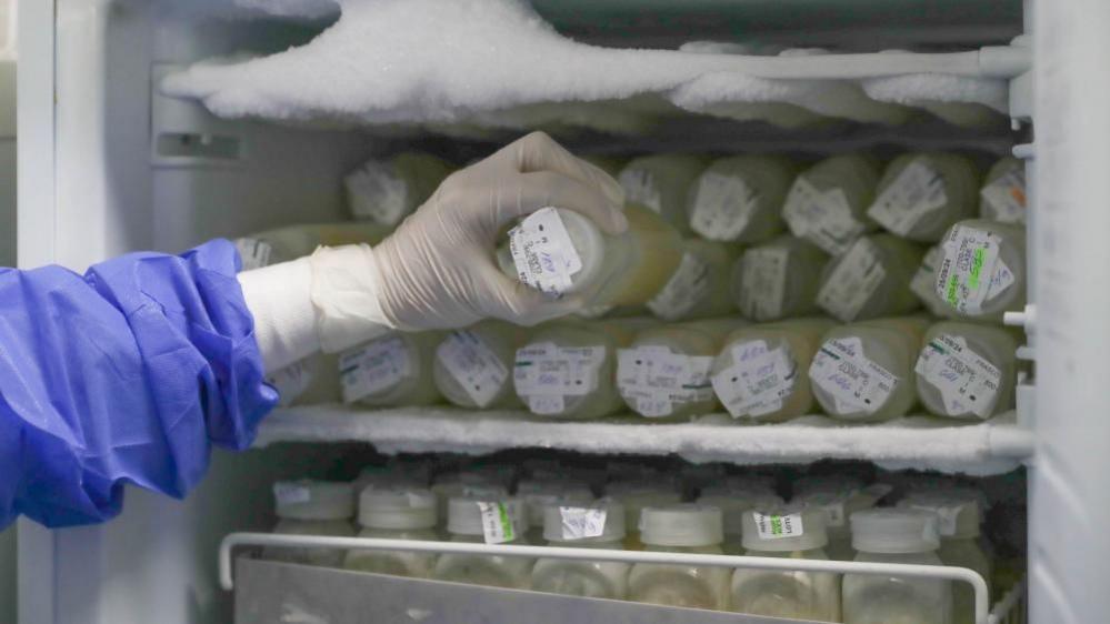 A freezer full of bottles of breast milk with labels on. A hand in a medical glove is reaching in to take a bottle.