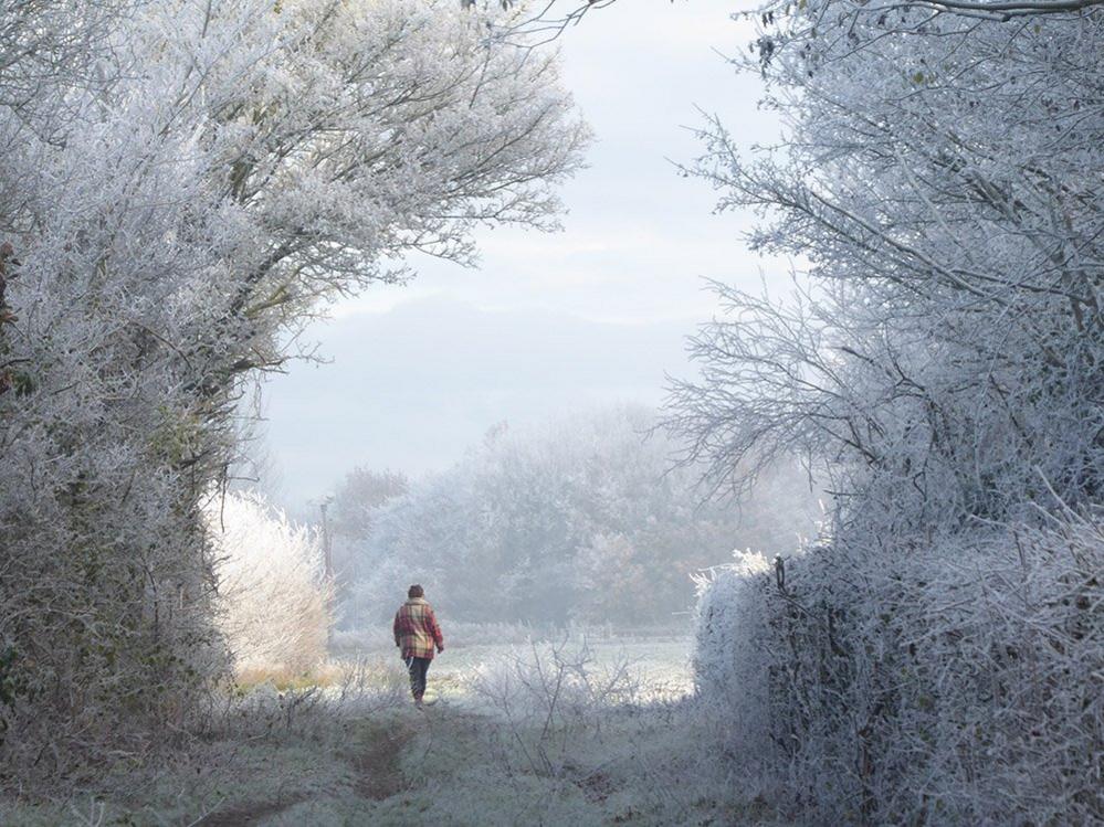 Figure in a winter landscape