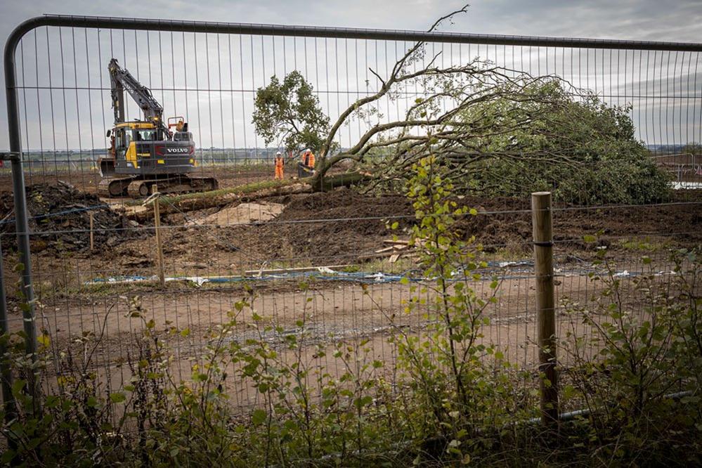 A large tree being moved to the new site