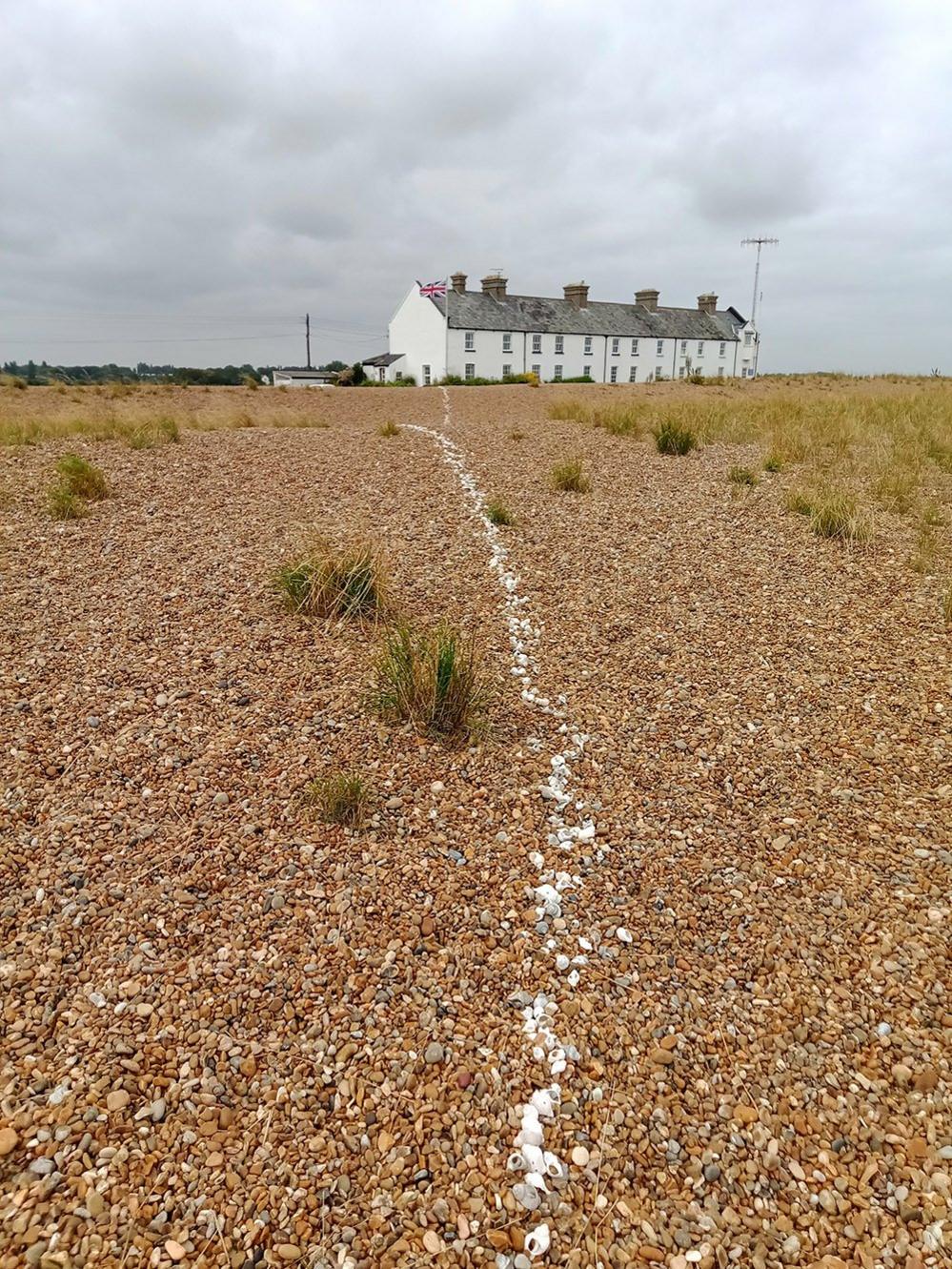 Shoreline cottages