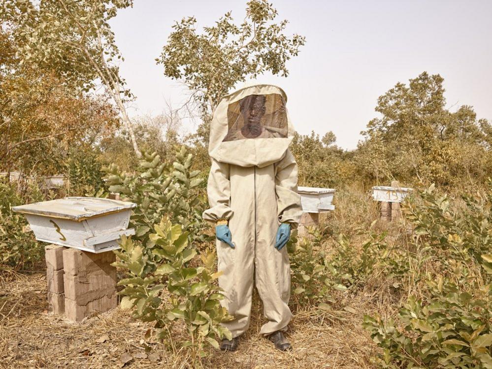 ldrissa Sidibe, Beekeeper