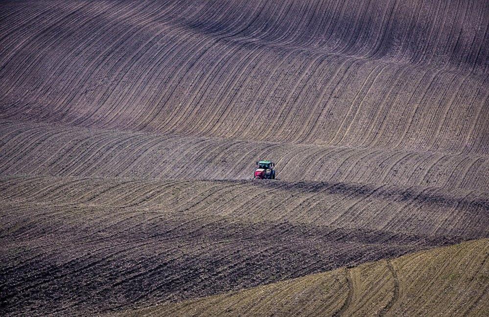 Tractor in field