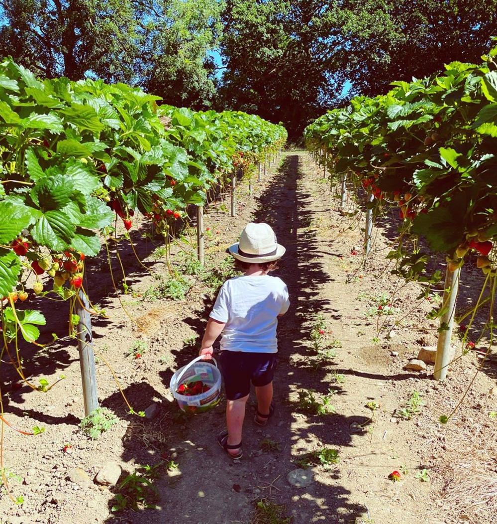 Child with strawberries