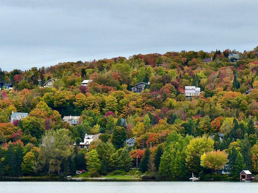 Colourful trees in Canada