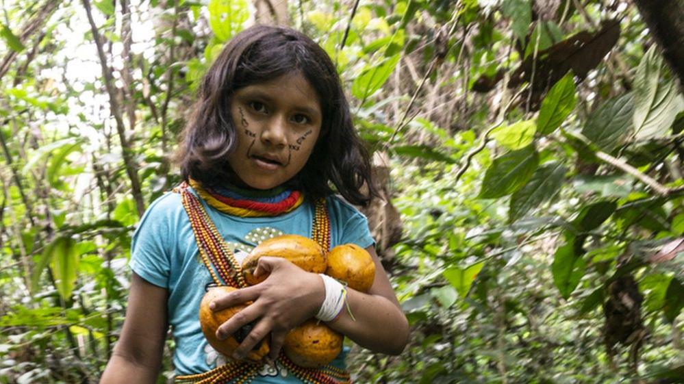 A girl in the Waikas community carries cocoa pods