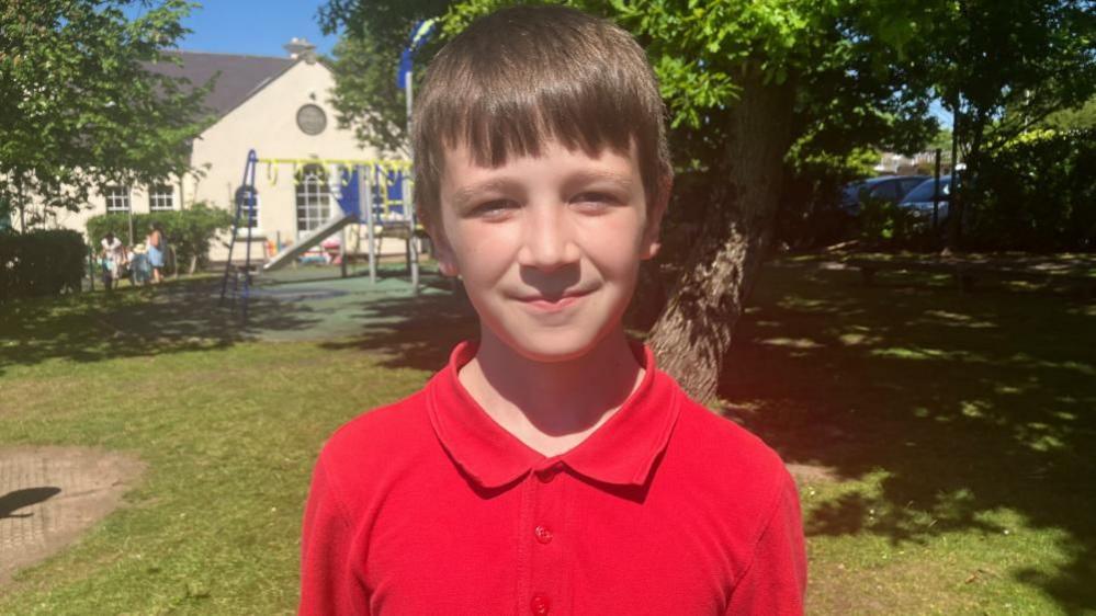 Harry is wearing a bright red polo top and has short brown hair. He is looking at the camera. He is standing on grass with a tree in the background, further in the distance the school building can be seen.