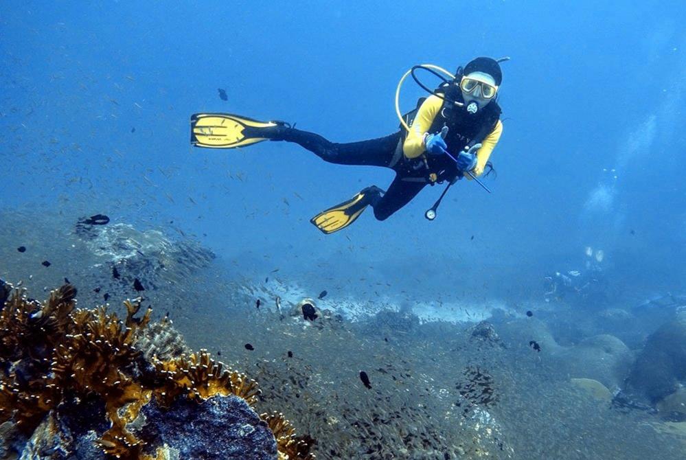 Lisa Ziehrock swimming underwater