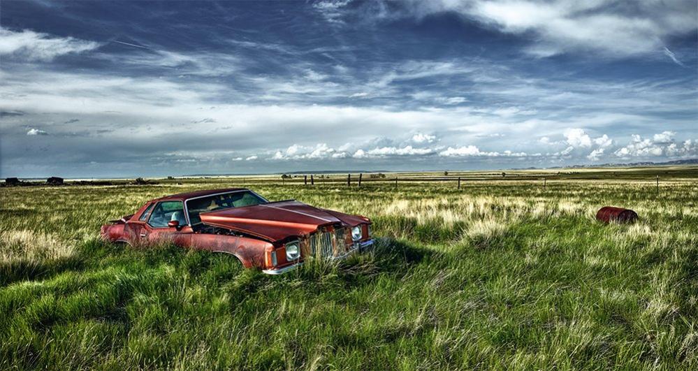 An abandoned car in an open field