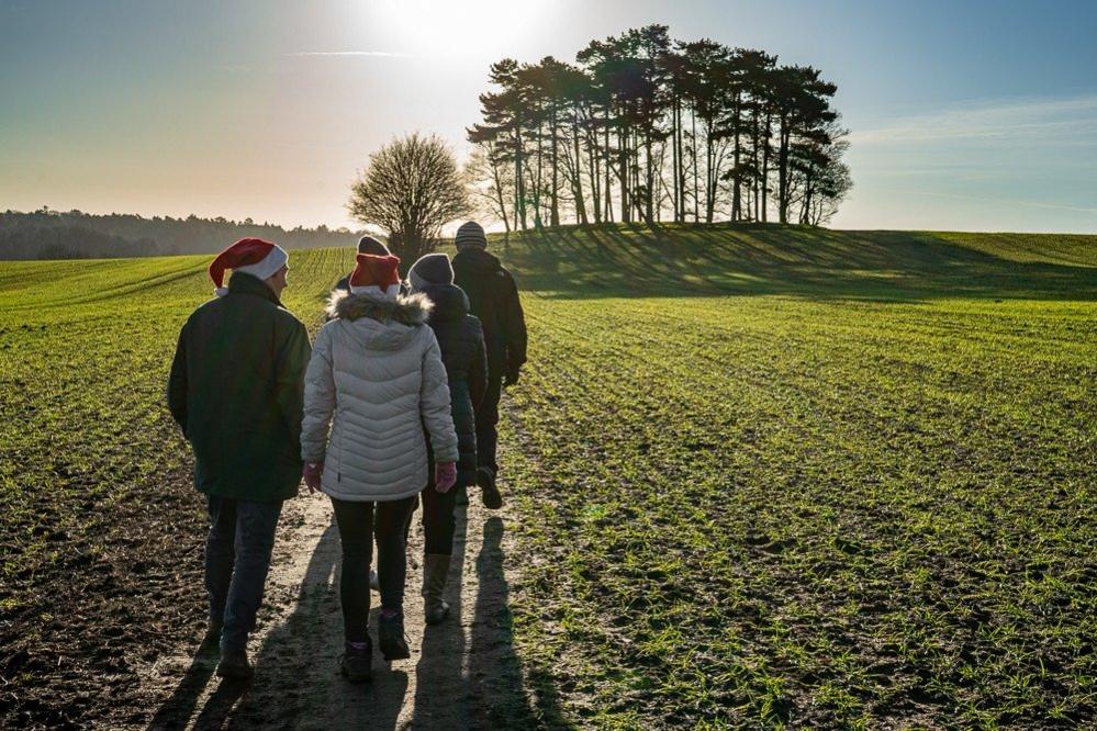 Family on a Christmas walk