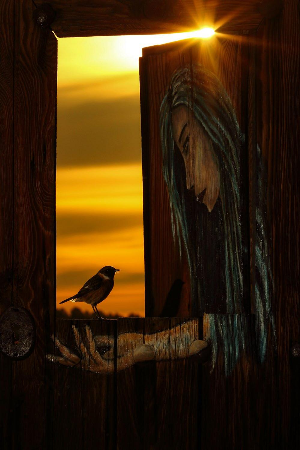 A stonechat perched on a door