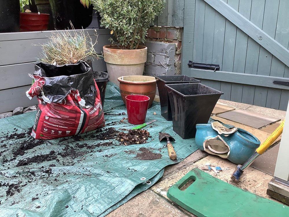 Pots and compost