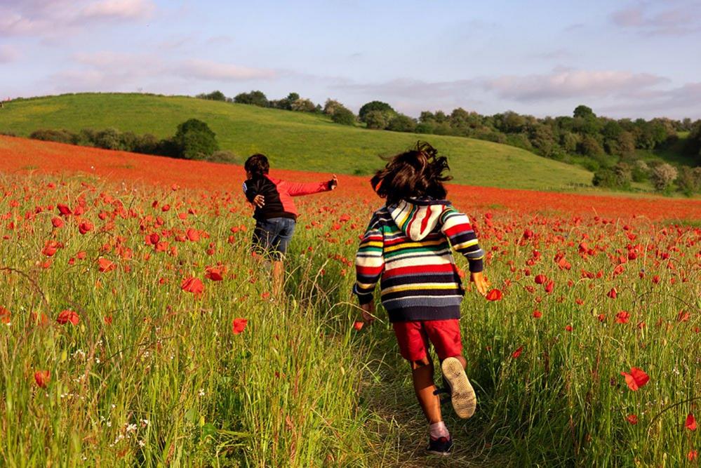 Boys running in a poppy field