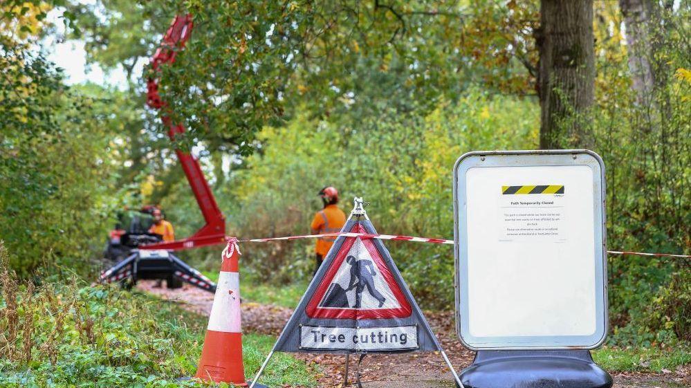 The scene is a country park with trees and bushes alongside an open path. In the foreground is a temporary roadworks sign saying "Tree cutting". There is red and white hazard tape stretched from a traffic cone, and in the background a  tree cutting crane is at work with two people wearing orange PPE and red helmets.