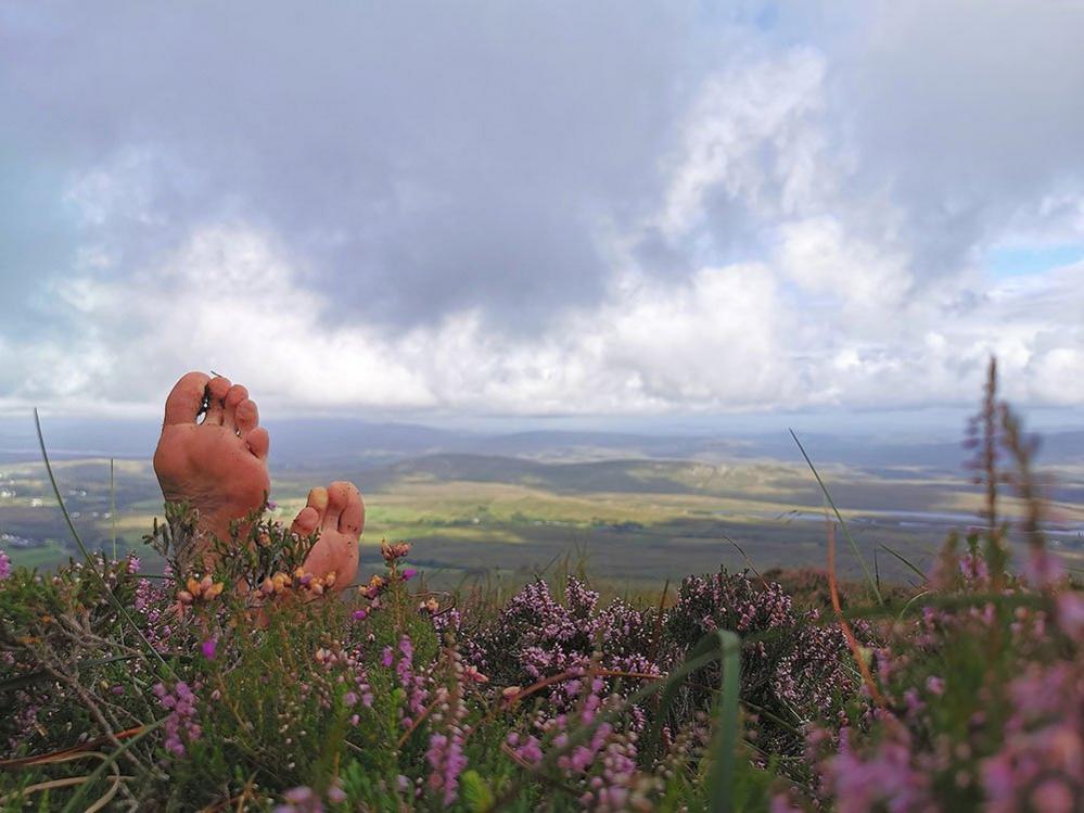 Feet in heather