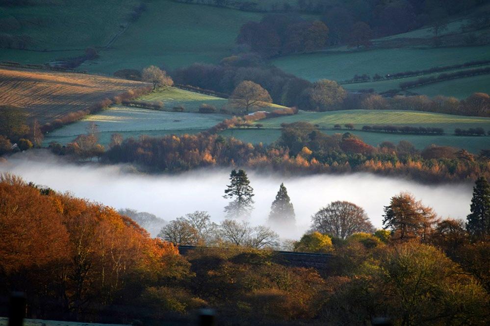 Mist in a valley