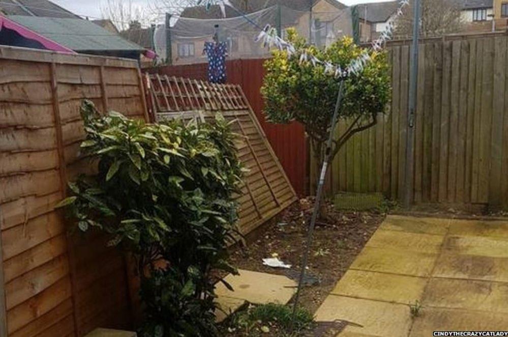 @cindythecrazycatlady posted this picture on Instagram of her destroyed fence in Chatham, Kent.