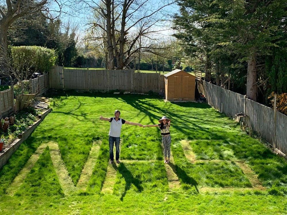 NHS cut into a lawn