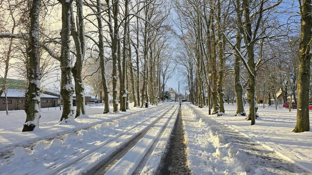 A path with deep snow leading to a park gate with trees on either side. Sun shines through the trees and there are lines indented in the path where a vehicle might have passed.