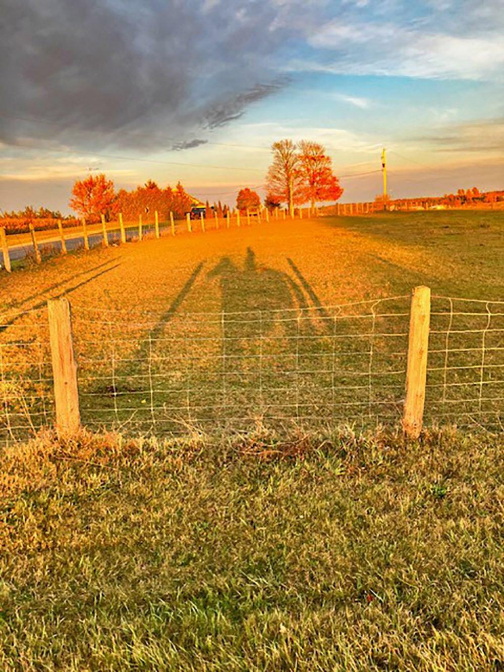 Shadow of a horse rider