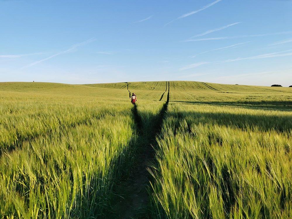 Walking in a field