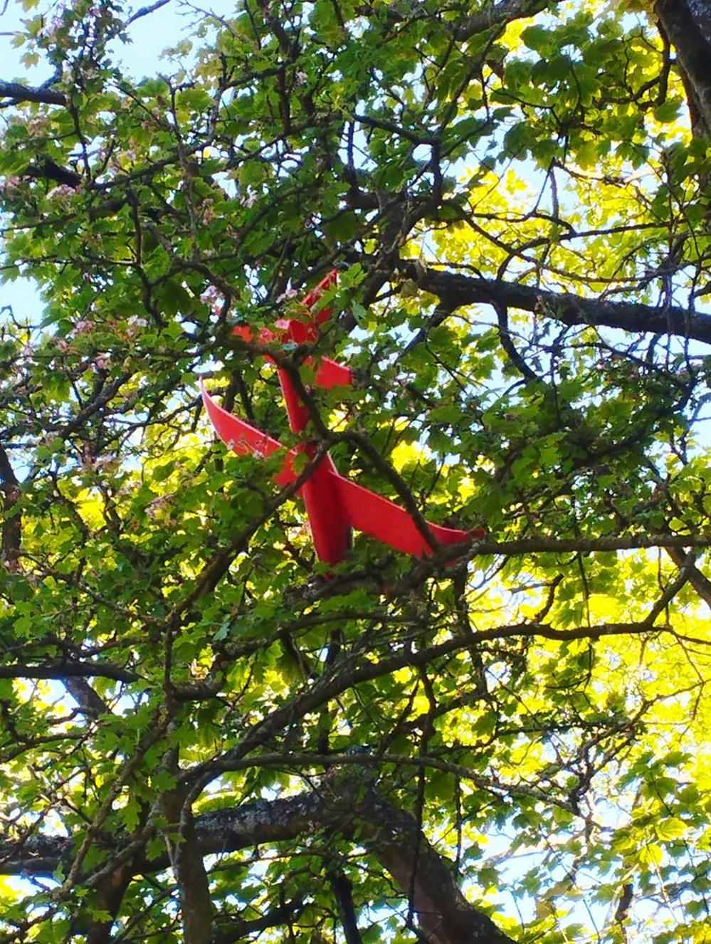 Toy plane in a tree