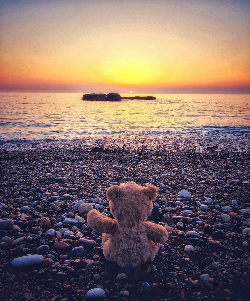 Teddy on a beach