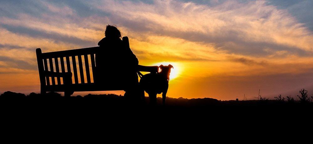 Woman on a bench with her dog