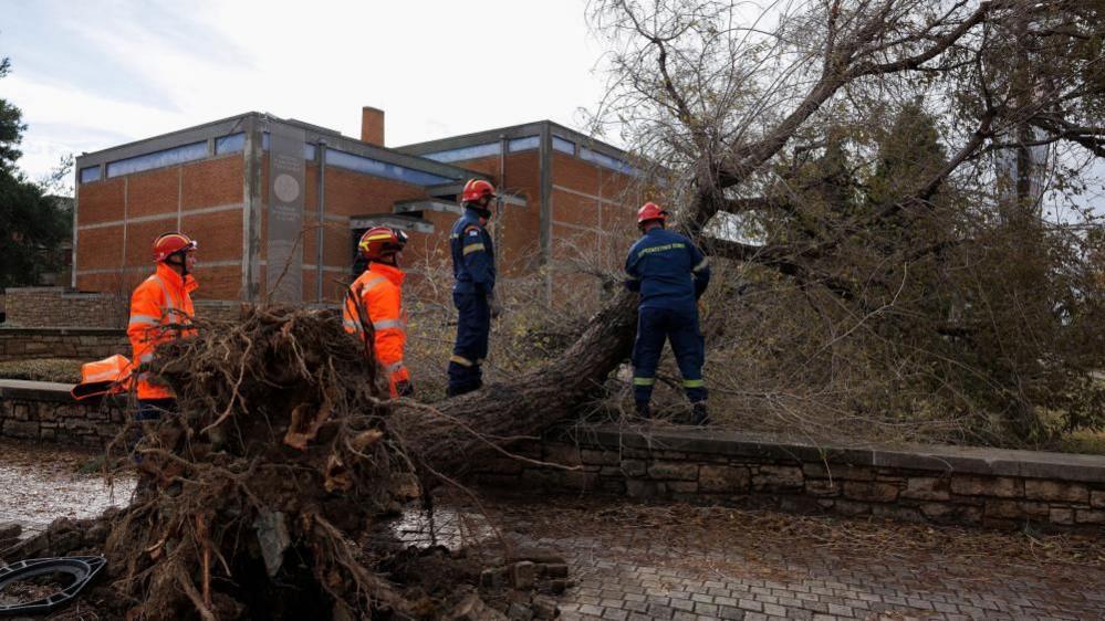 Firefighters cut down trees that have fallen in the city of Thessaloniki after Storm Bora on December 2024. Two men in orange high-visibility jackets are watching as two men tend to a tree that has uprooted and lays fallen on a small wall