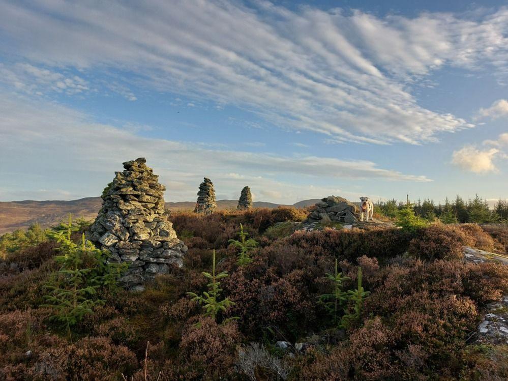 It's a bright sunny day with some clouds. A rural setting with mountains in the far background and undergrowth with young fir trees in the foreground. There are four piles made from stones.