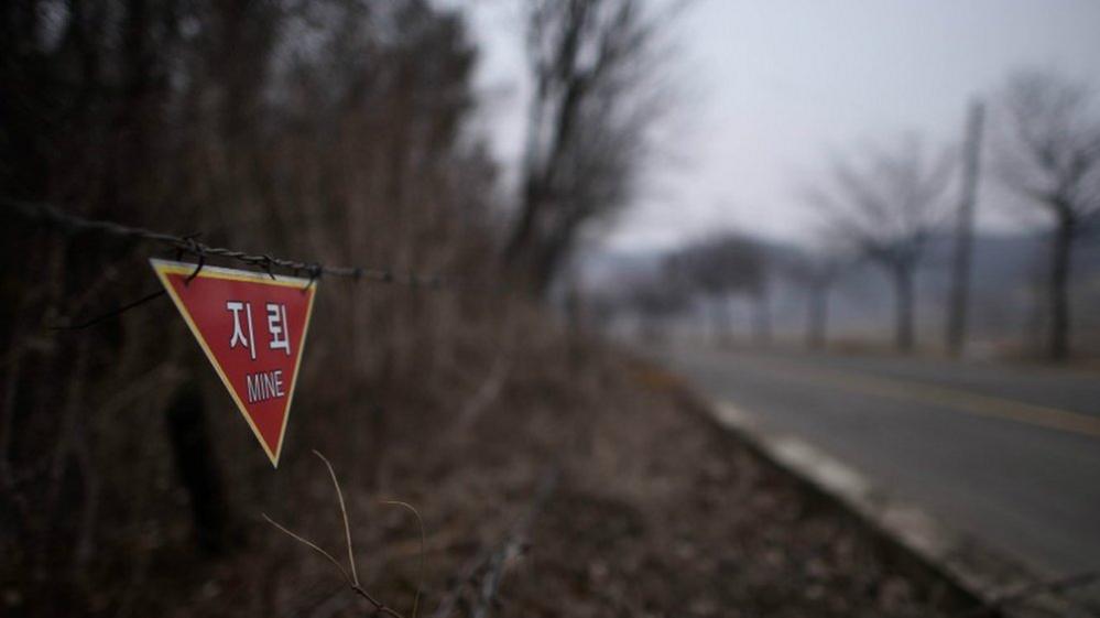 Landmines warning in woodland near the Demilitarized Zone (DMZ) in Yeoncheon, north of Seoul