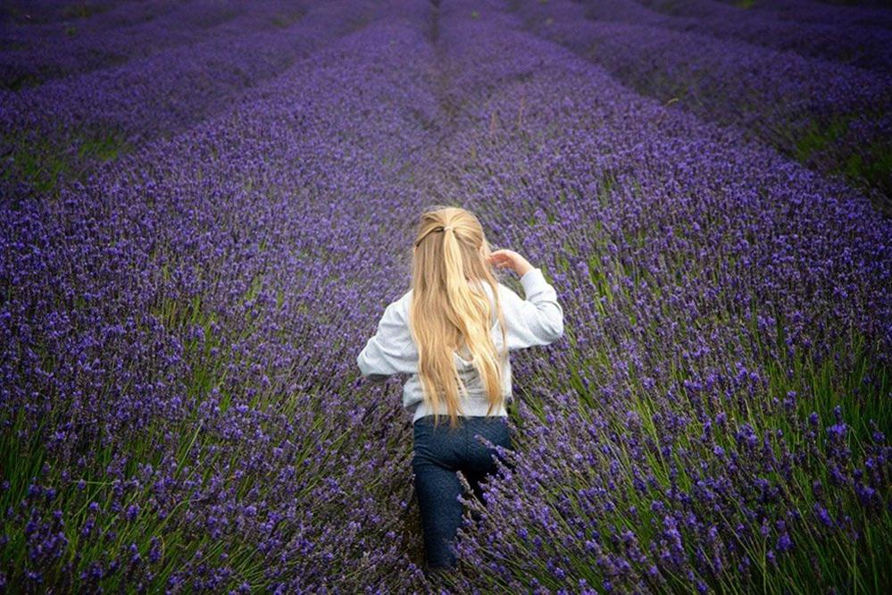 Girl in a lavender field