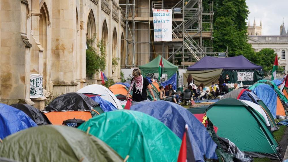 A protest camp in Cambridge. There are green, blue and white tents pitched on grass. One person wearing a black T-shirt and red and white scarf is walking in the centre of the site. A hand-written sign saying "DIVEST NOW" is pinned to one tent. On the left of the tents is a brown stone wall. 