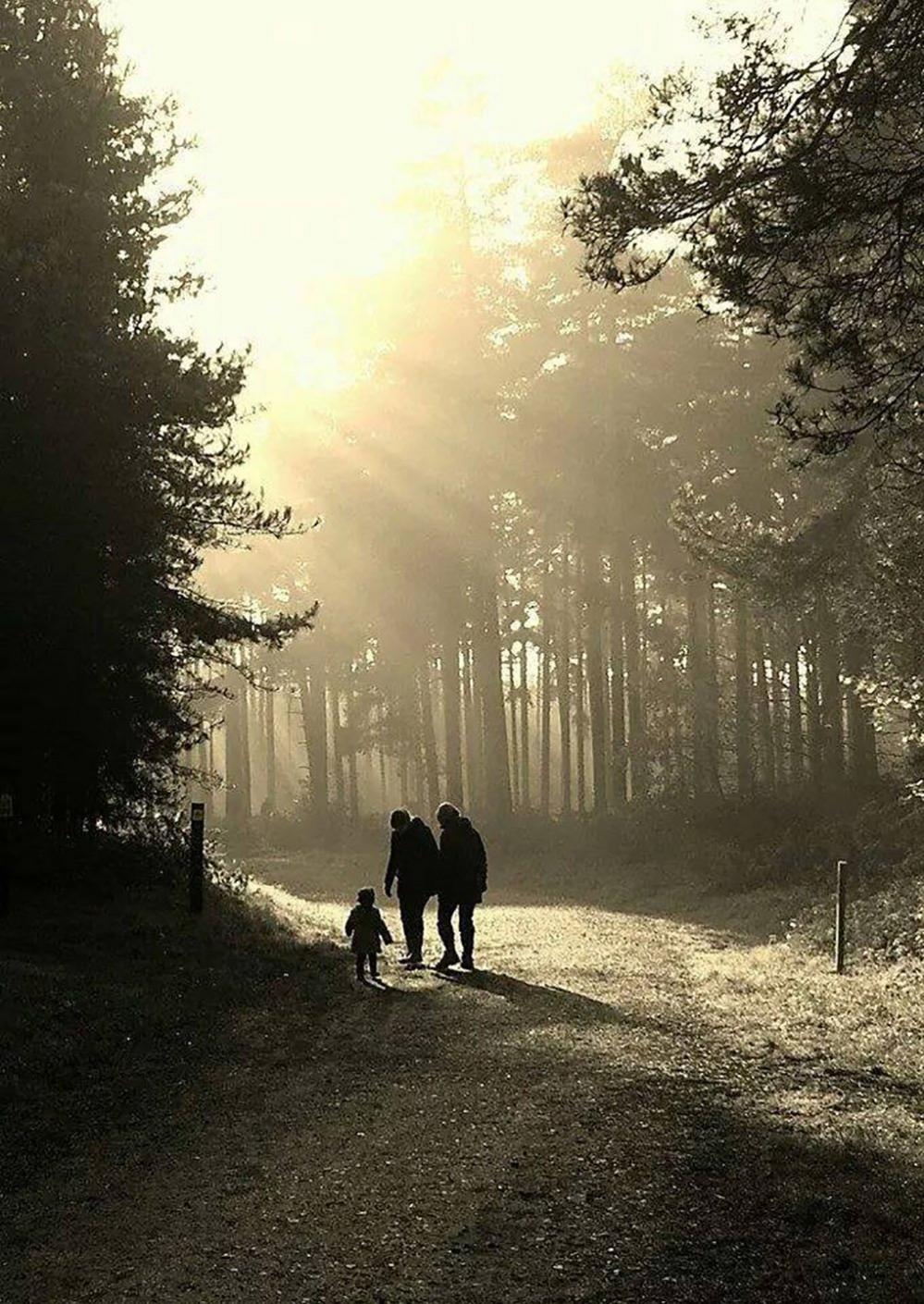 Family in the woods