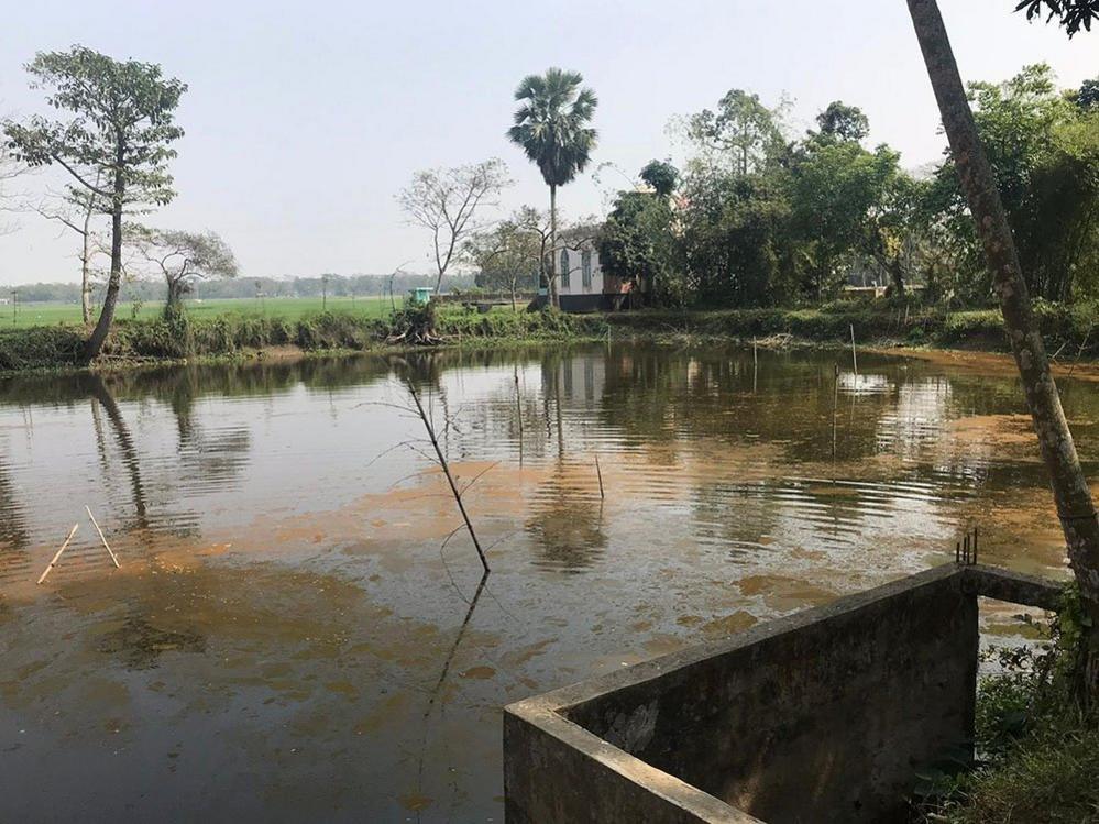 Flooded lake