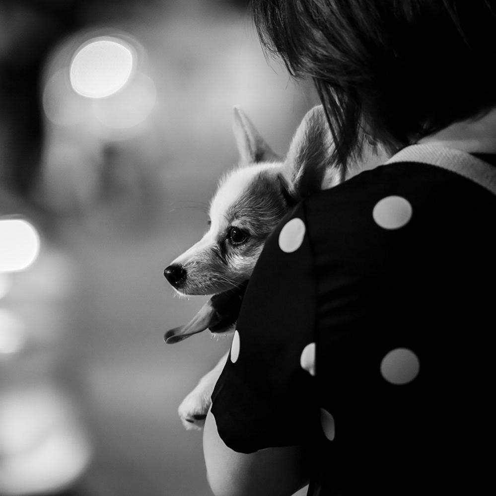 Woman holding a small dog