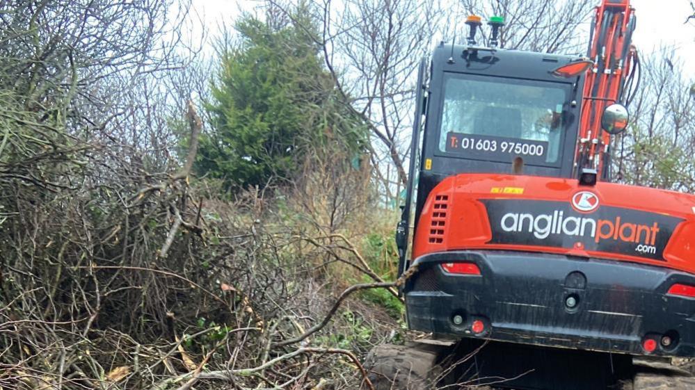 Digger cutting through scrubland to create access road.