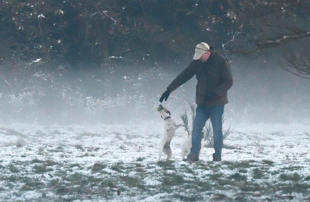 Man with a dog