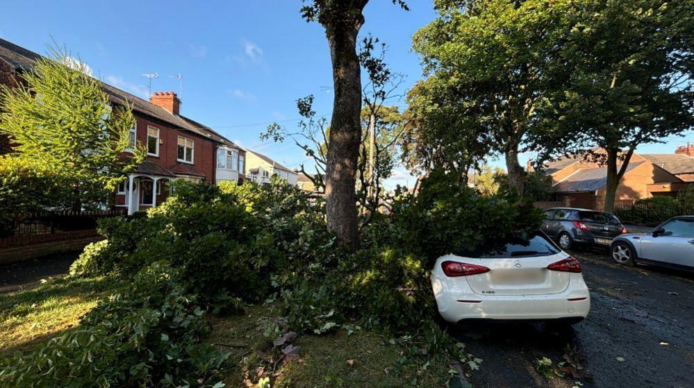 Large, leafy tree branches cover much of a white Mercedes car parked at the side of a Hull street. They have fallen from a tree, which now stands bare in the centre of the picture. Houses can be seen to either side. 