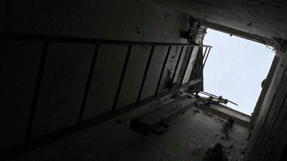 Vertical ladder on the left, looking up to a square aperture to the right, showing the clouded sky above